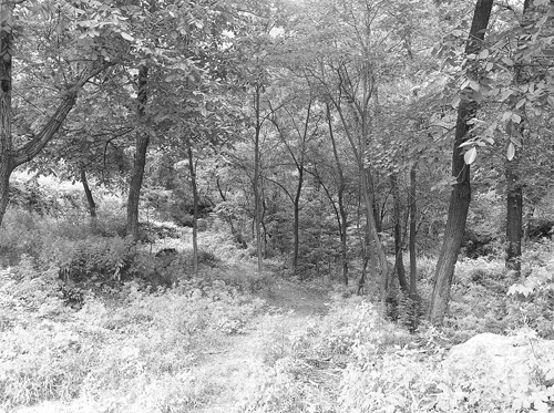 W020130822510816596860.jpg